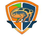 elitepestcontrolbrentwood.com